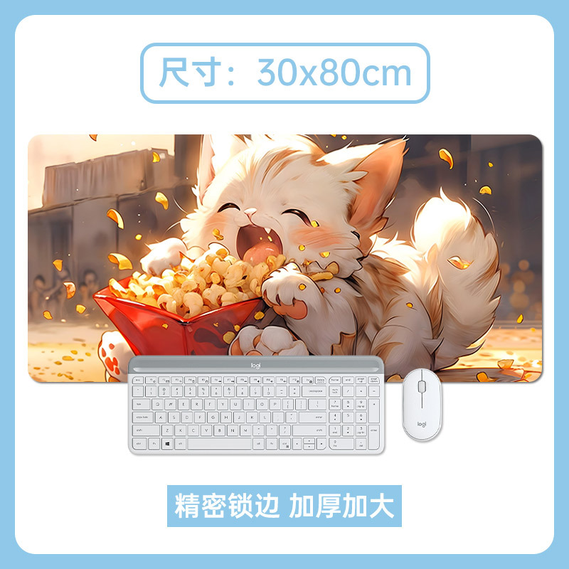 고양이 음식