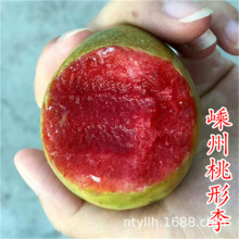 �޽����������Ե����Ｇ���Ә����Ϸ������Nֲɳ������箔��Y��