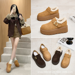 2024�ﶬ��Ƥ��׶���Ь�ӽq����Ь���^���e��Ь�ɸ�Ь����Ь�͹�