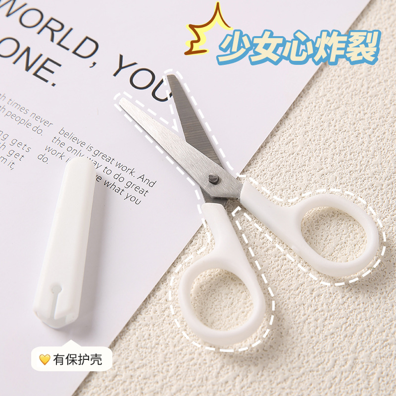 Stainless Steel Clear Scissors