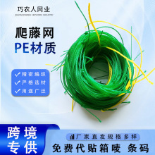 �羳����PEֲ�����پW�S�Ϸ������ټܾW �@ˇ���ﻨ���������پW