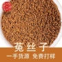 产地水洗兔丝子