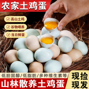 �����r��ɢ�B���u�����r�G��������b��ͯ�ЋD�I�B���������l�Y��