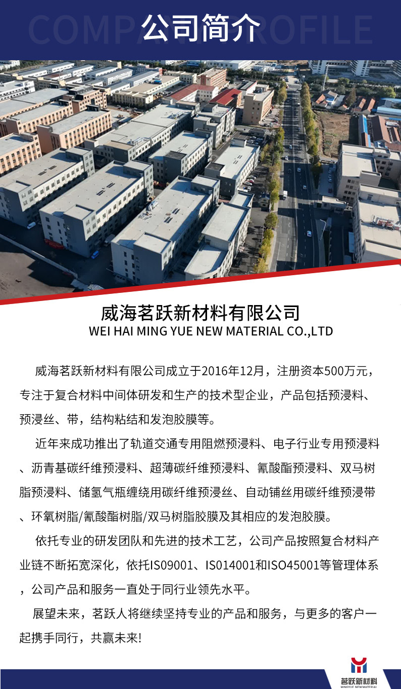 公司简介新 有logo