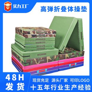 Folding Gymnastics Mat Taekwondo Folding Mat Dance Flip Gymnastics High Jump Canvas Mat Canvas Gymnastics Mat