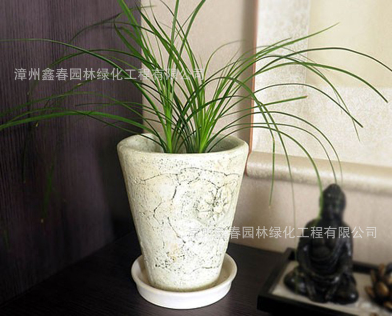 TB2tqF3nVXXXXaiXpXXXXXXXXXX_!!