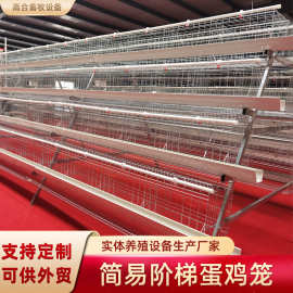 四层五门蛋鸡笼家禽白食槽三层四层阶梯式养殖蛋鸡笼工厂可外贸