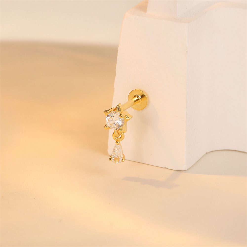 2g Weight Ear Studs Classification Ear Cartilage Rings & Studs Piercing Type 1 Piece Quantity Daily Occasion 925 Sterling Silver Material Flower Pattern All Seasons Season Women's Gender Plating Design Elegant, Simple Style Style 1 Piece Ear Cartilage Rings & Studs Elegant Simple Style Flower 925 Sterling Silver Plating Ear Cartilage Rings & Studs 23