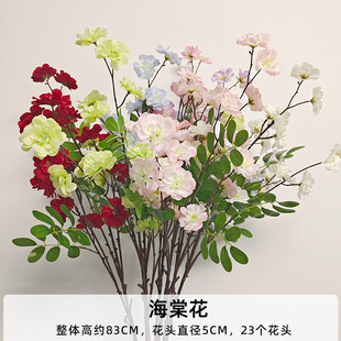 ���溣�Ļ����滨�߼��б���ٻ��쾰��c���滨�b����컨�廨
