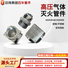 消防氣體滅火高壓管件七氟丙烷噴頭直接鍛鋼鍍鋅高壓螺紋三通法蘭