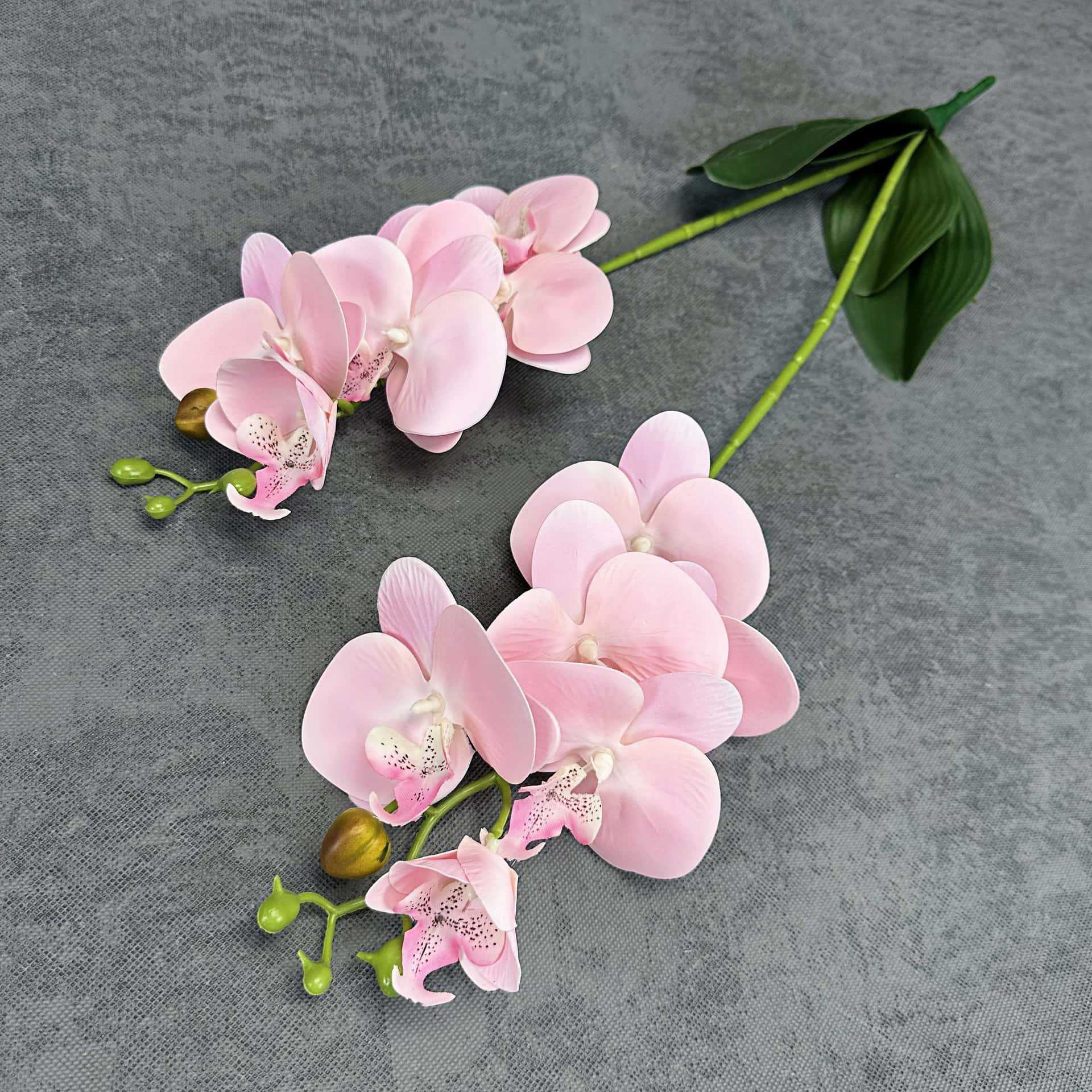 Simulación de 2 horquillas 12 mariposa orquídea PU sensación de flores falsas decoración del hogar decoración de boda props orquídea adornos al por mayor