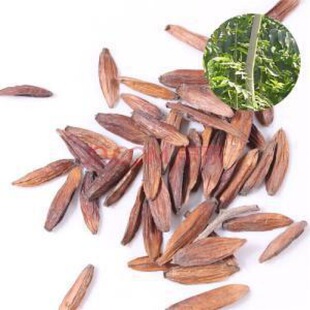 ϲ��N�Ӻ�ɏˮ��ˮͩ�������亵ɏ��ǧ�ɘ�Ұ�Ž�ˮĮ�ӈ@�־G��