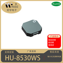 ��������HUDZƷ�ƣ���Ƭʽ8530��Դ������