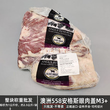 ����558����˹�����wM3+ ���300��ѩ��ţ�����Ϳ���������ţ��