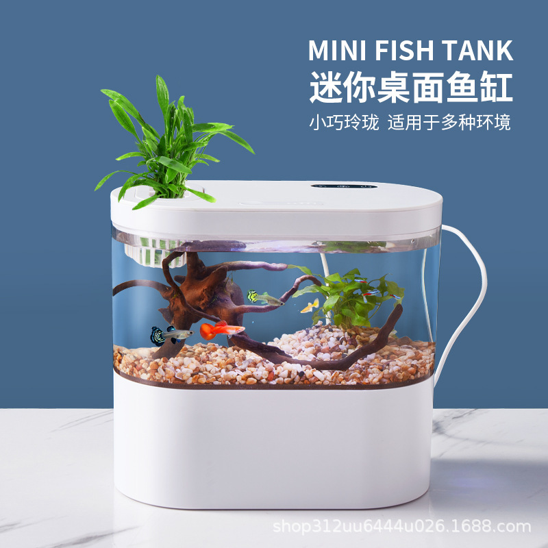 水槽水槽客間小型無換水一体デスクトップ熱帯魚観賞ミクロ生態ミニ水循環|undefined