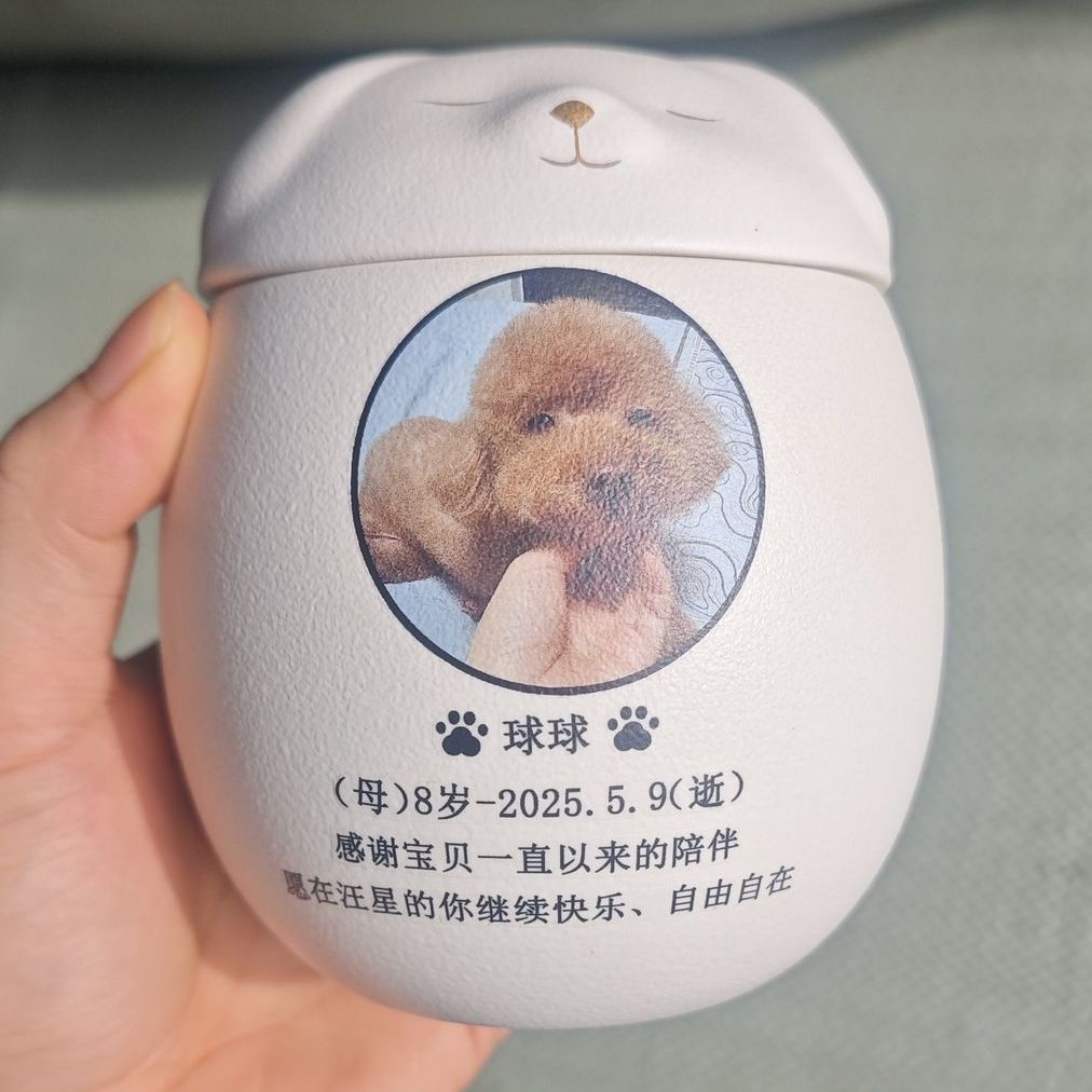 개/인쇄 + 사진 - 대형 + 무료 6inch 사진