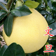 ����h�ĵ����硿�㽭��h�ĵ������ƽˮ���ּ޽����Ә���һ����