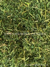 �����]������˼����˼�~����˼�ٲ� ÿ��500�� ��ʮ��С�r�l؛