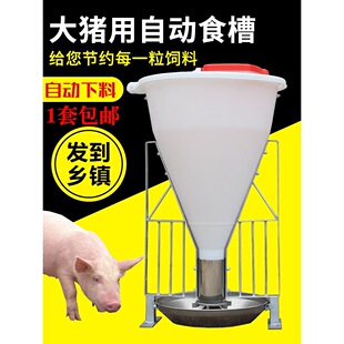 80�����Ͱ�i�ϲ��i���Ԅ��ϲ۲�ʳ�����ʲ��P��i��������ιʳ��