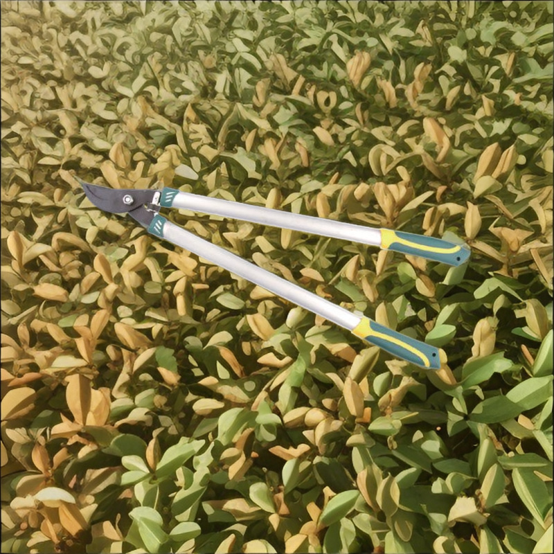 厂家直销供应高质量高枝剪树枝剪粗枝剪园林剪大力剪