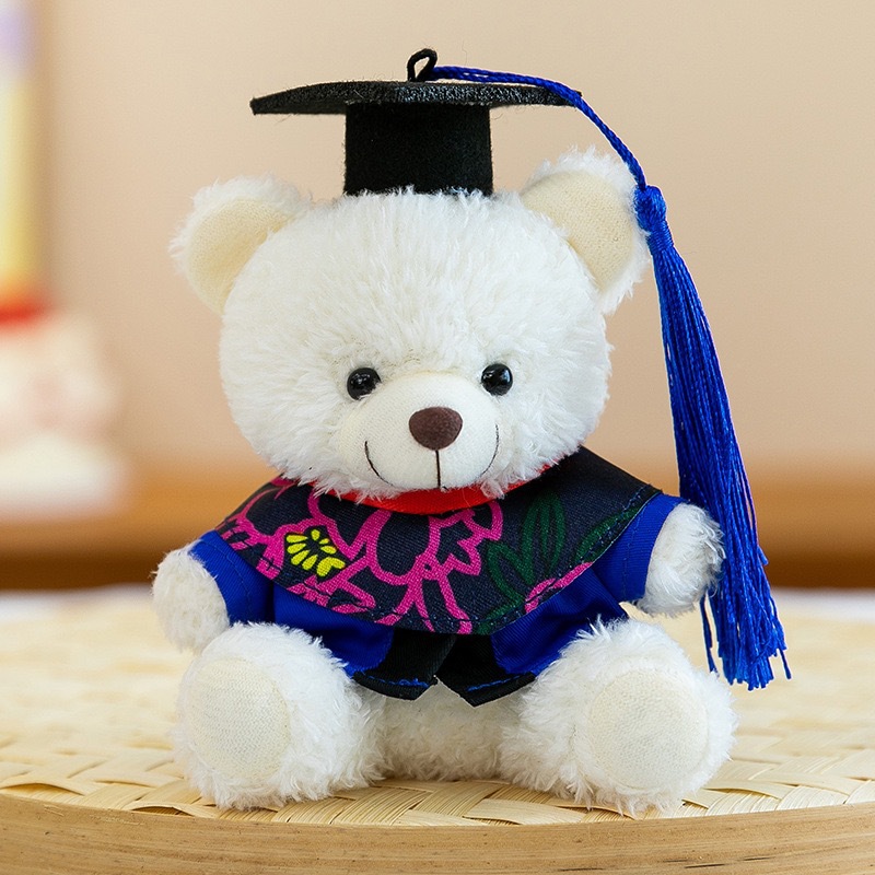 Dr. Bear Colgante muñeca puede imprimir LOGO sombrero doctor regalos de graduación uniformes de muñeca oso bolsos llaveros