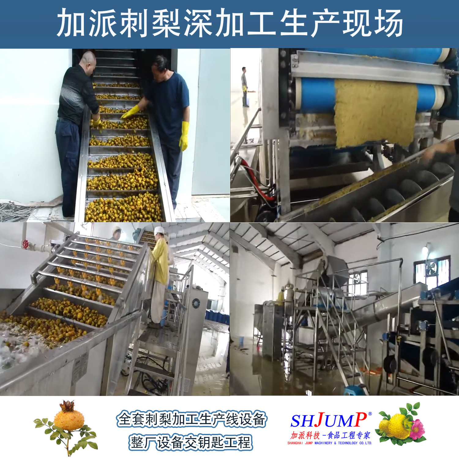 刺梨加工生產(chǎn)線1