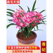 �m�� ���� �����؝��㽨�m�ļ��m����ζ�m���绨�������҃ȾGֲ��