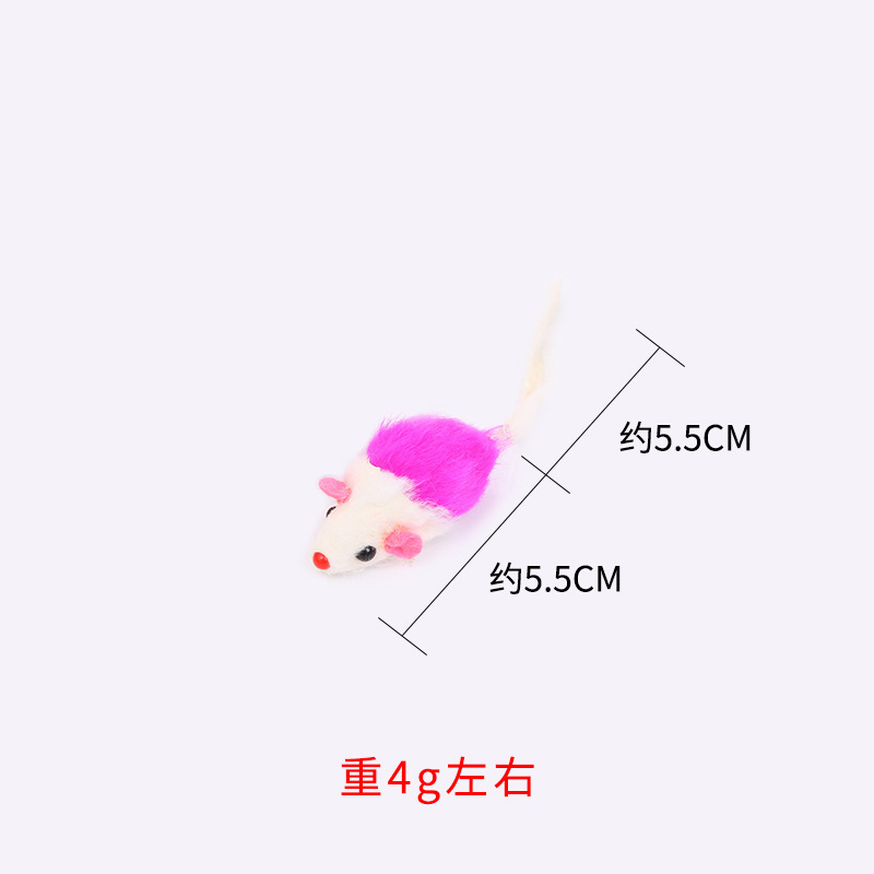 흰색 보라색