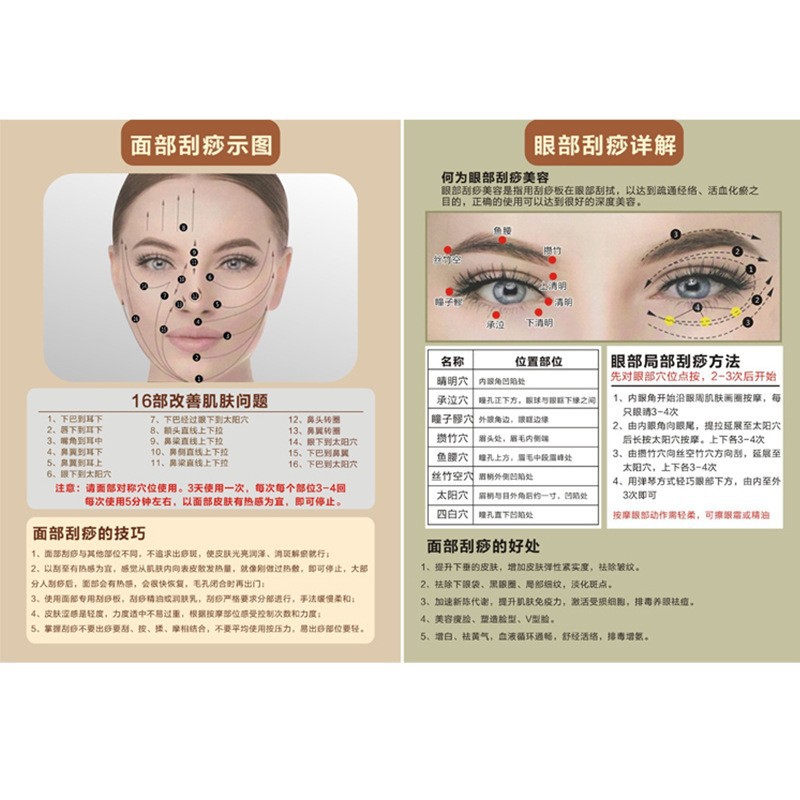 Acupoint Chart Body Meridian Map A5 Face Head Massage Reference Poster for Adults quality and texture