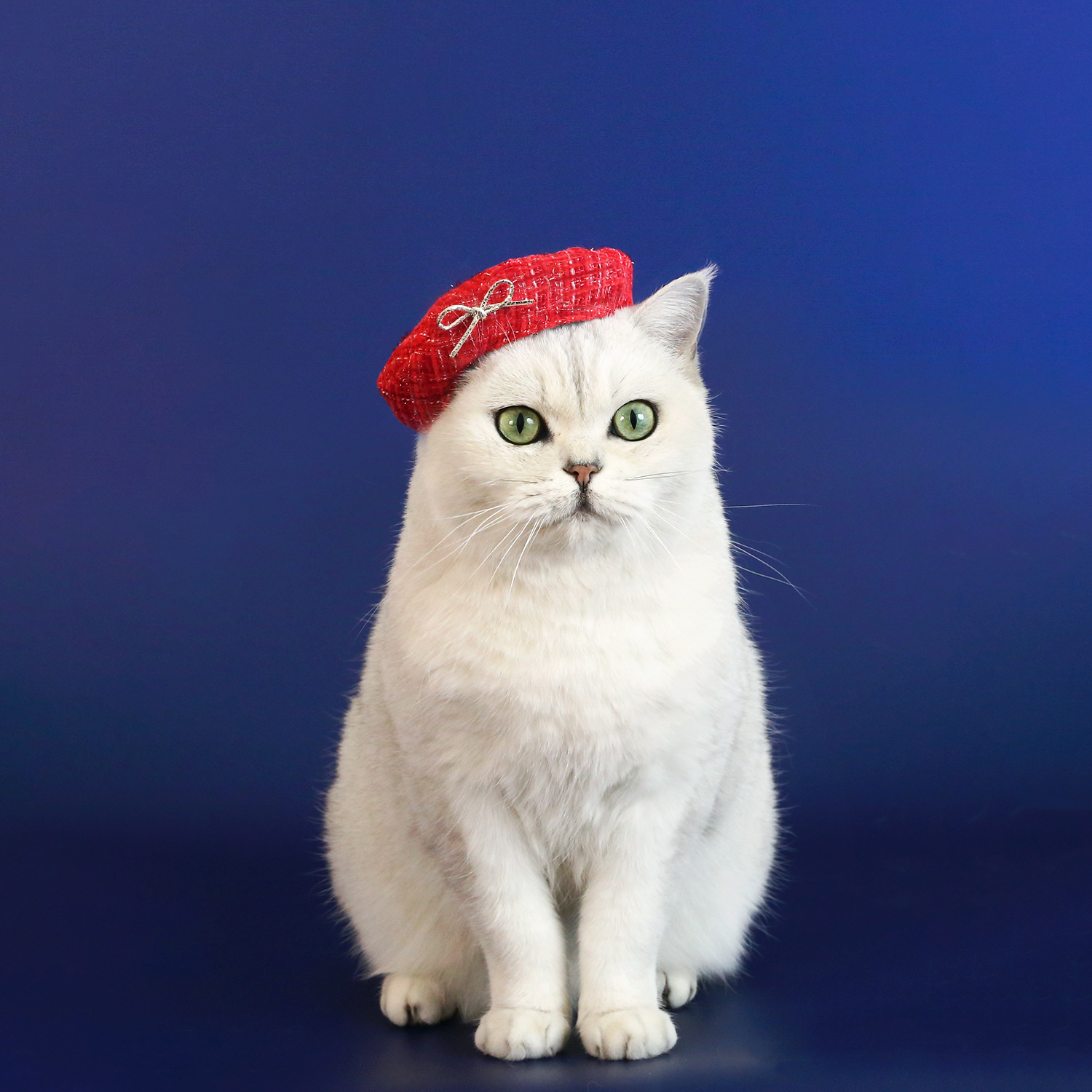 Mascotas de Año Nuevo Celebrativo de encaje Sombrero de borda de oro gemas arco Teddy perros gatos set rojo image 8