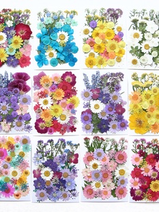 �ɻ��ֹ�diy����Ѻ��ֲ����~�˱��N���~���������b���Ȼ�滨