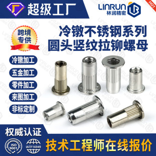 �F؛304���P䓝L�����T��ĸƽ�^�T��&Phi;15.5*1/4-20Ӣ���Q�l�yͨ��