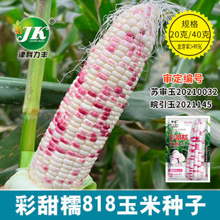 ���l����ճ���׷N�Ӳ���Ŵ818Ŵ���׷N�Ѳ�ɫ�rʳˮ�����������