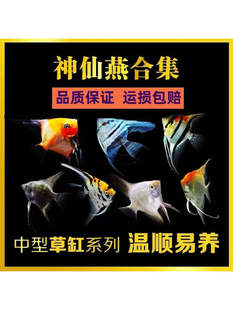 �������~�����Ꭷ�^�p�~С���~��ī���߲������~