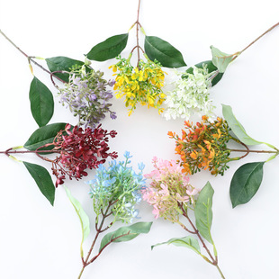 滨zӭСҰҾbСM黨֦