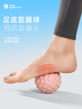 ��Ĥ����װ�Ħ���_�׷���Ѩλ��Ħ�����iĤ�٤���ս������j�L��