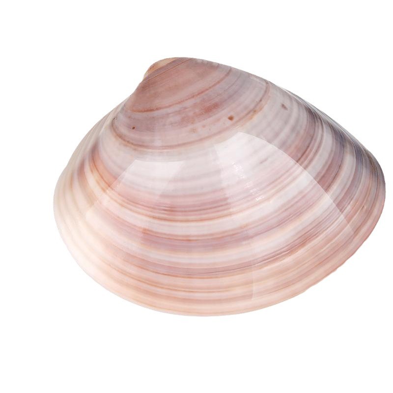 2023-12-06 21:34:39.jpg