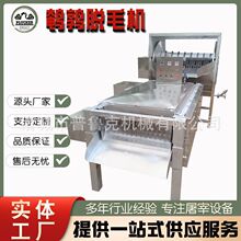 小型全自动乳鸽屠宰生产线鸽子屠宰设备全自动鸽子打毛机制作厂家