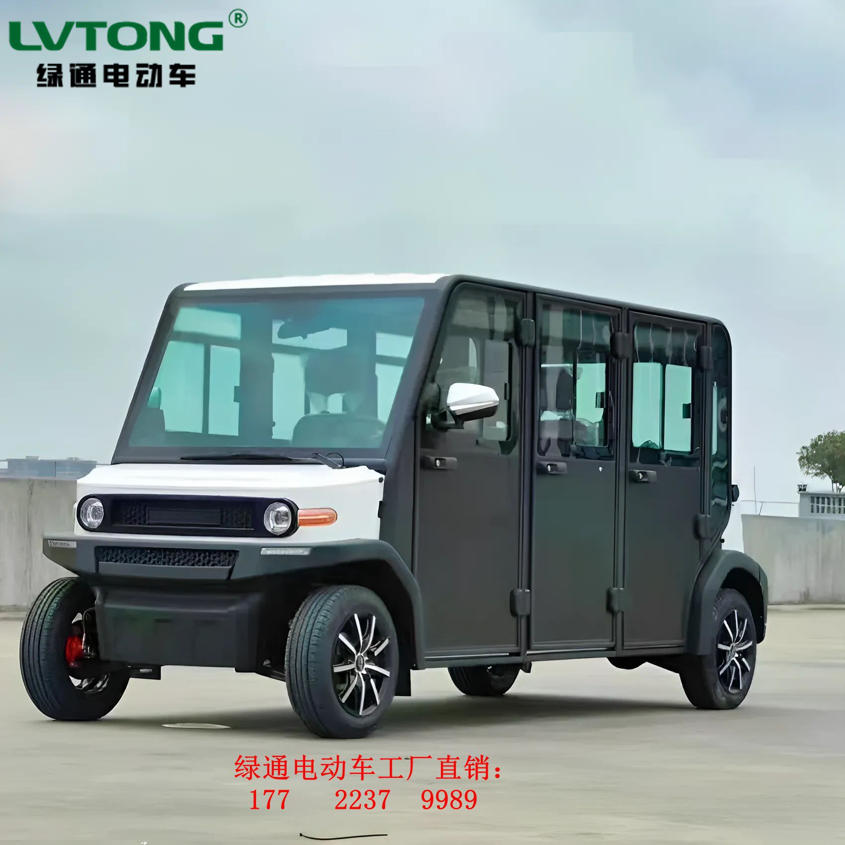 Vehículo eléctrico de dos asientos LT-S2.DC de Guangdong Lvtong Scenic Spot Community Building Sightseeing Walking Wheel