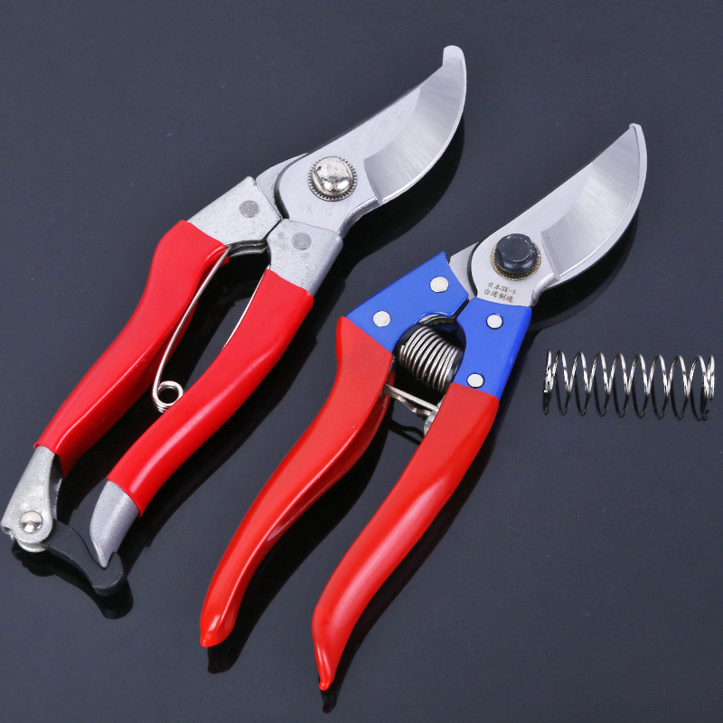蓝红包胶柄果枝剪高碳钢修枝剪鸟嘴果树剪刀 园林疏枝剪疏果剪刀