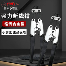 �ձ�SUPER�������^���M���X�Ͻ��ֱ��ྀ�Q�p�;��|�����QSM-200A