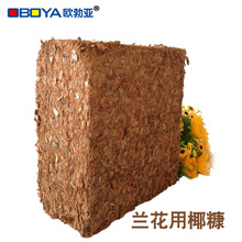 ӡ���M�ڴ�Ҭ���m���Nֲ���I�B�����w��Ҭ�������|�����ݰl