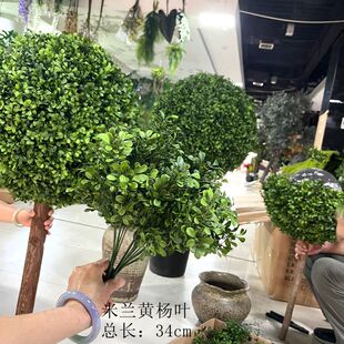 ���m�S���~�����S�������m����������۷����~�Gֲ���̲��Ô[��