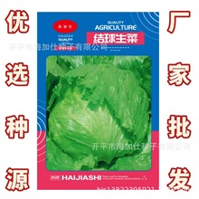 Y˷Nӡ0.6ˡˬļNˏS߲˷Nl