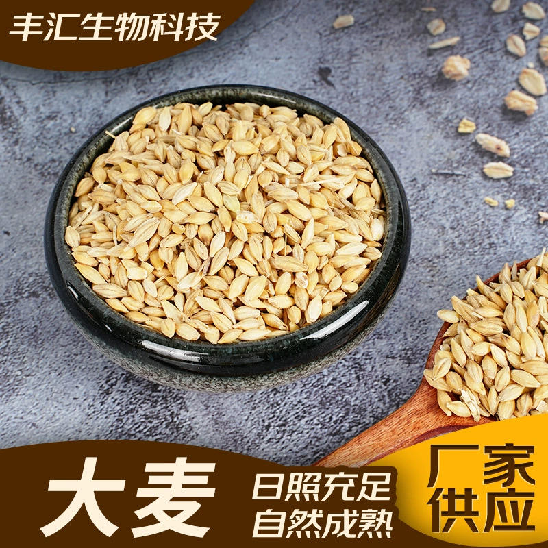 Ячменная каша, приготовленная на ферме, приготовленная на пару рис, съедобные зерновые с ячменем, низкотемпературная выпечка, ароматные зерна, ячмень