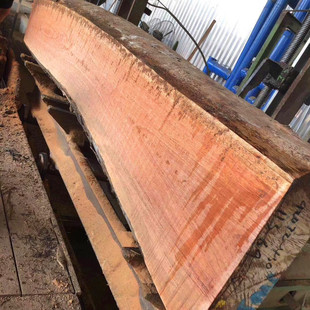 ���l��ľԭľľ�� ������ ��ľ��� ���̈@�ֹŽ��Ҿ�ľ����ľ