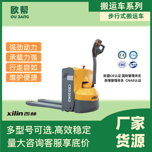 [Factory Direct Sales] Xilin Genuine European 3-Ton Walking Electric Forklift Ce Certified Diniu Cbd30Kd