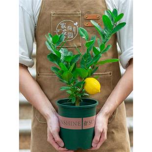 ˮԘ̨҃ͥԺļYBֲϘ