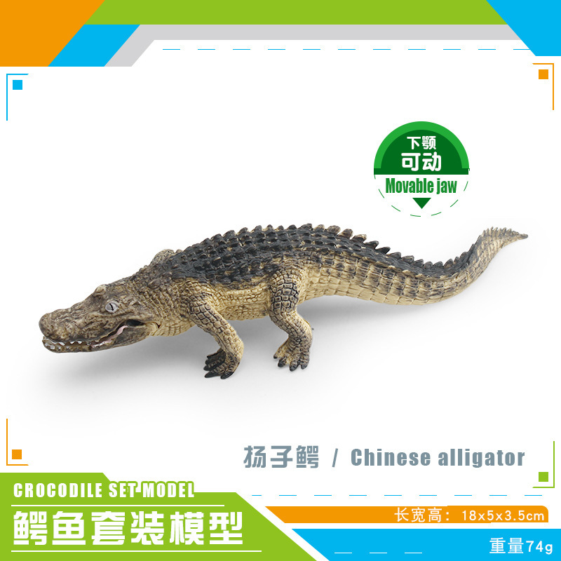 Transfronterizos infantiles simulación anfibio cocodrilo modelo cocodrilo imperador cocodrilo Yangtze mandíbula móvil estático juguete de decoración