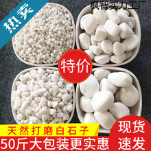 50斤白色石子石头大鹅卵石庭院铺路铺地小白石花园造景景观白石子
